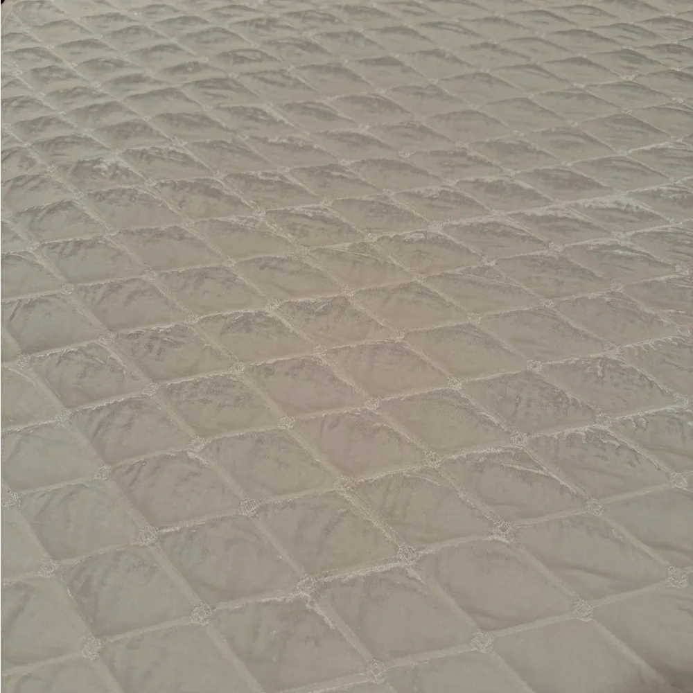 Martha Stewart Tufted Velvet FULL / QUEEN Quilt IVORY - $300
